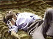 jekyll3.jpg (16479 bytes)