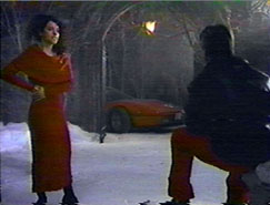 style7.jpg (15389 bytes)